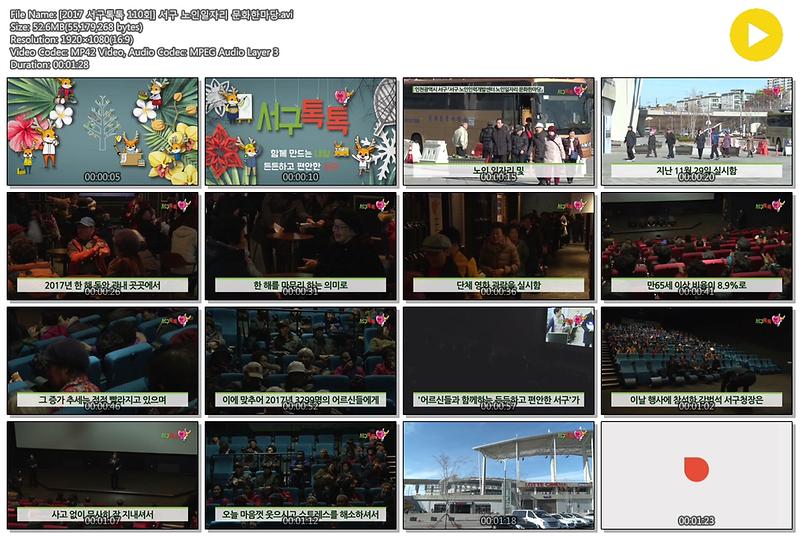 [2017 서구톡톡 110회] 서구 노인일자리 문화한마당 사진